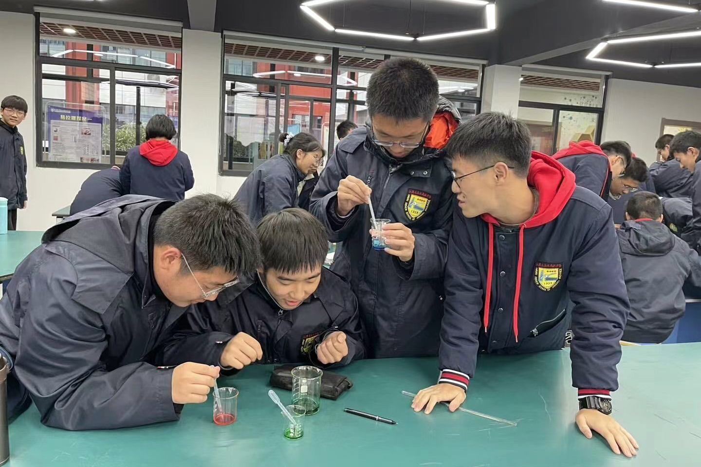 e30fd25891294fb78c60b92accdd6a8e.jpg e30fd25891294fb78c60b92accdd6a8e.jpg