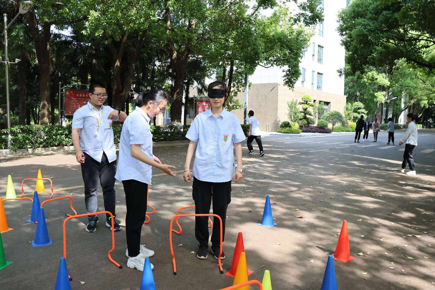 6fbe15ce61e74097b6eee02e57dc53bf.jpg 6fbe15ce61e74097b6eee02e57dc53bf.jpg