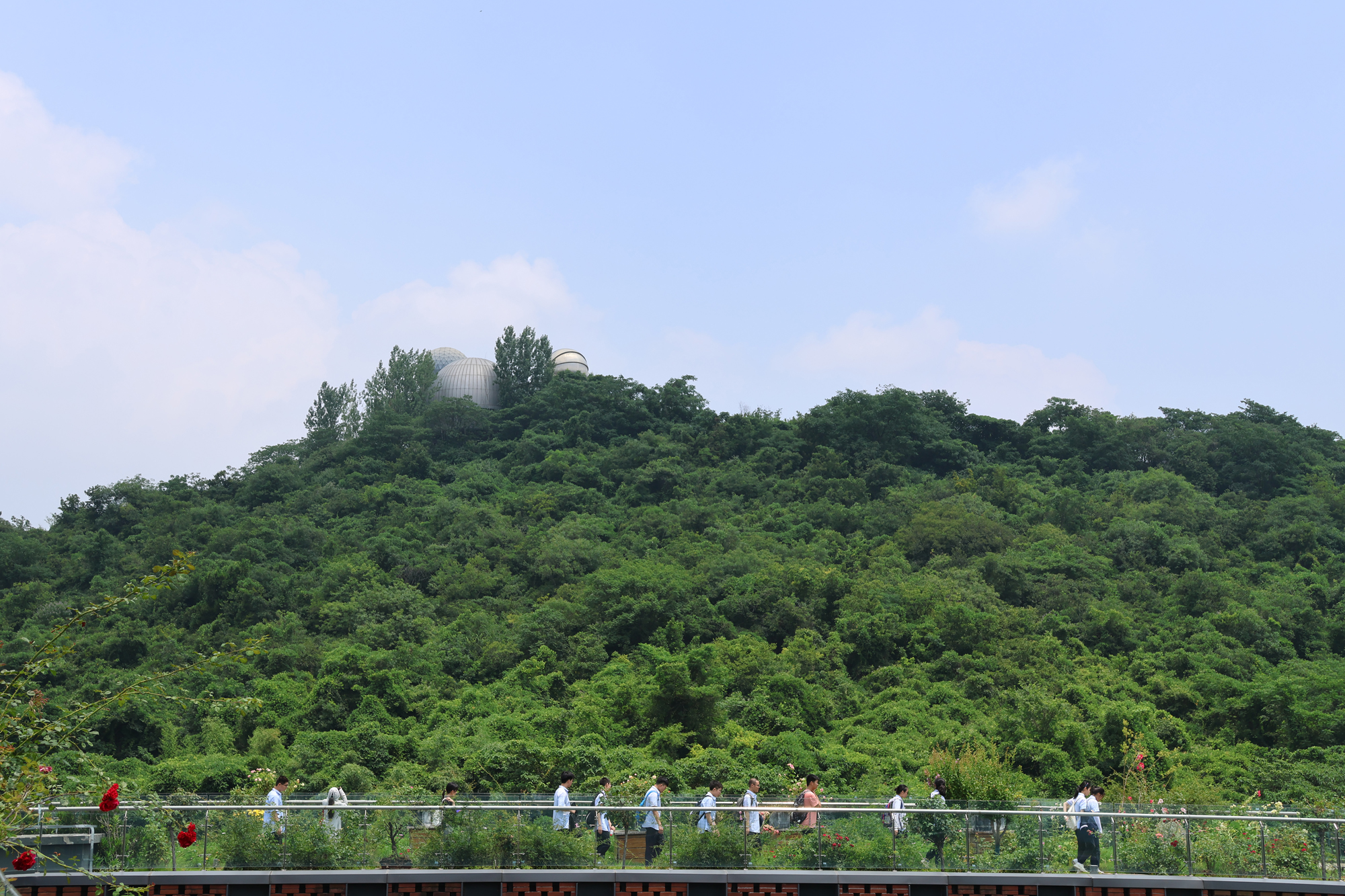 d543f91afa56492d9a0ca911e774698f.jpg d543f91afa56492d9a0ca911e774698f.jpg