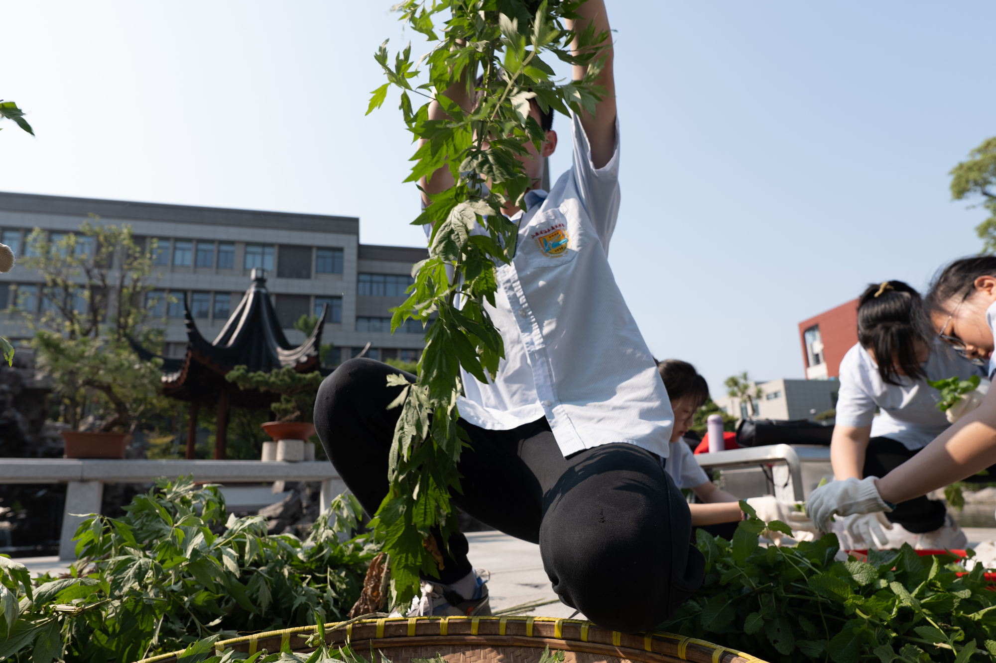 21e30c44ff6b4ada8989b9963d79f4b3.jpg 21e30c44ff6b4ada8989b9963d79f4b3.jpg