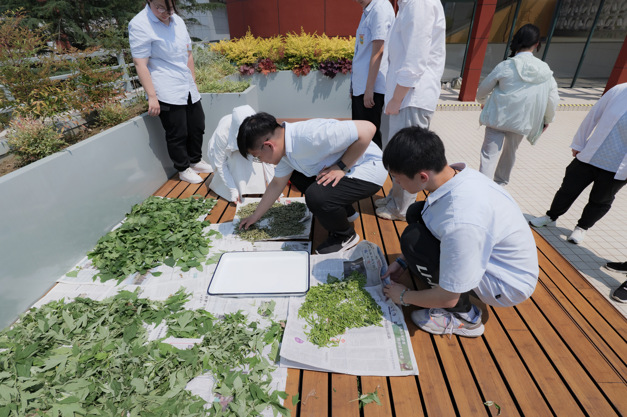 8e979c83ecb143a5afe21c6f5517d374.jpg 8e979c83ecb143a5afe21c6f5517d374.jpg