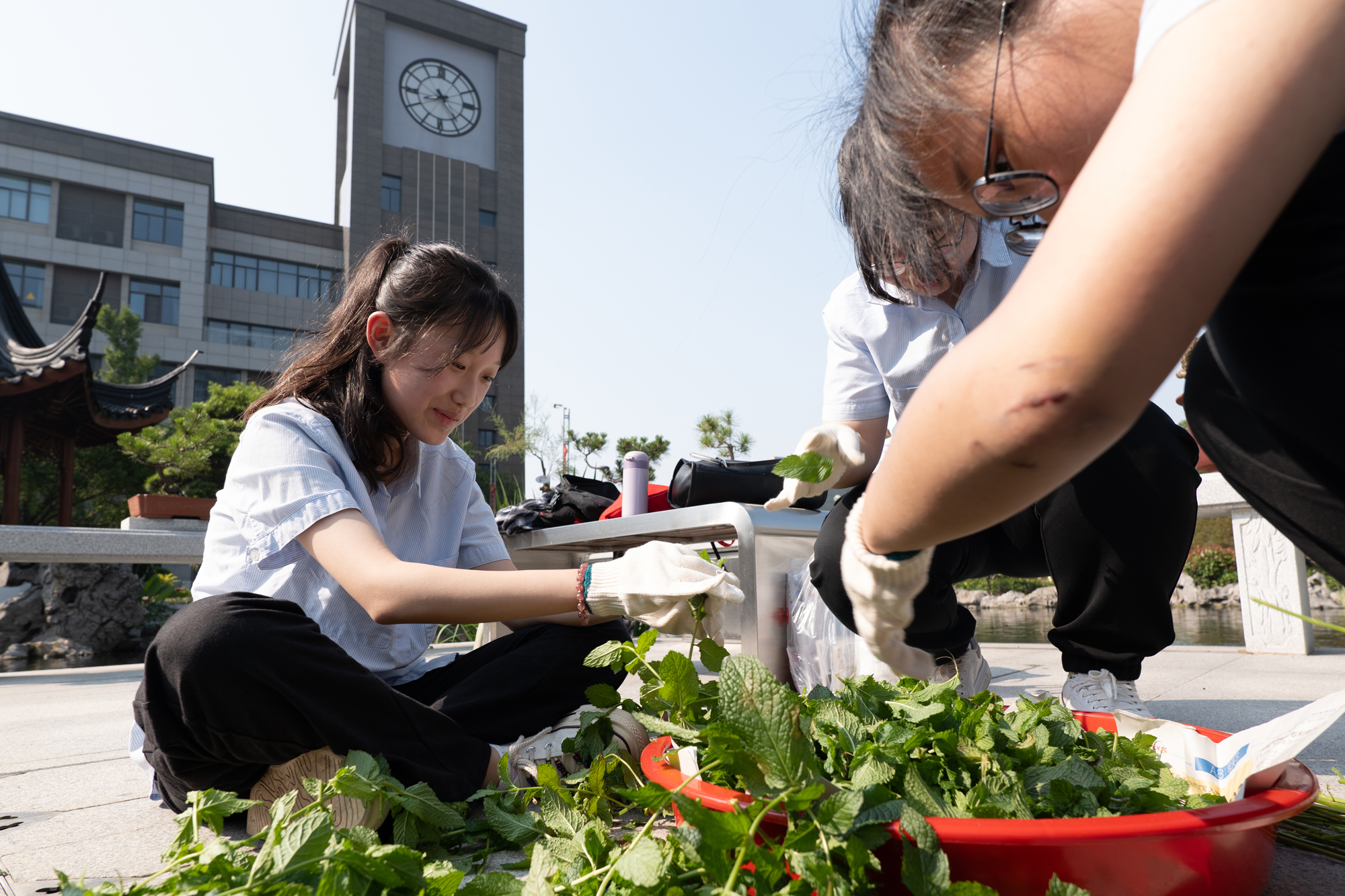 a5334cb103514b6c892f36671d860cc2.jpg a5334cb103514b6c892f36671d860cc2.jpg