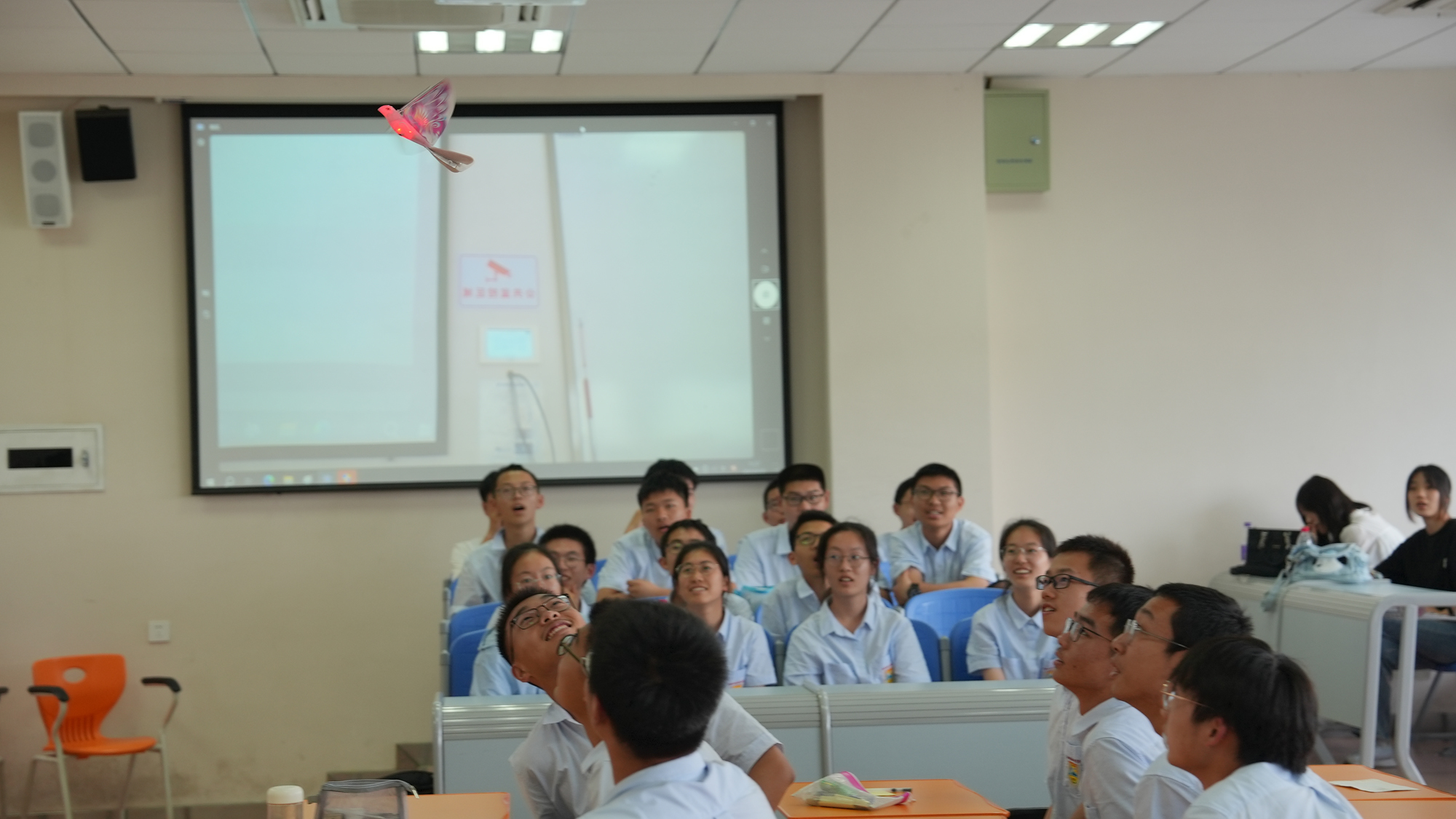 d0b2118df9844ec4bf8484da037a7851.jpg d0b2118df9844ec4bf8484da037a7851.jpg