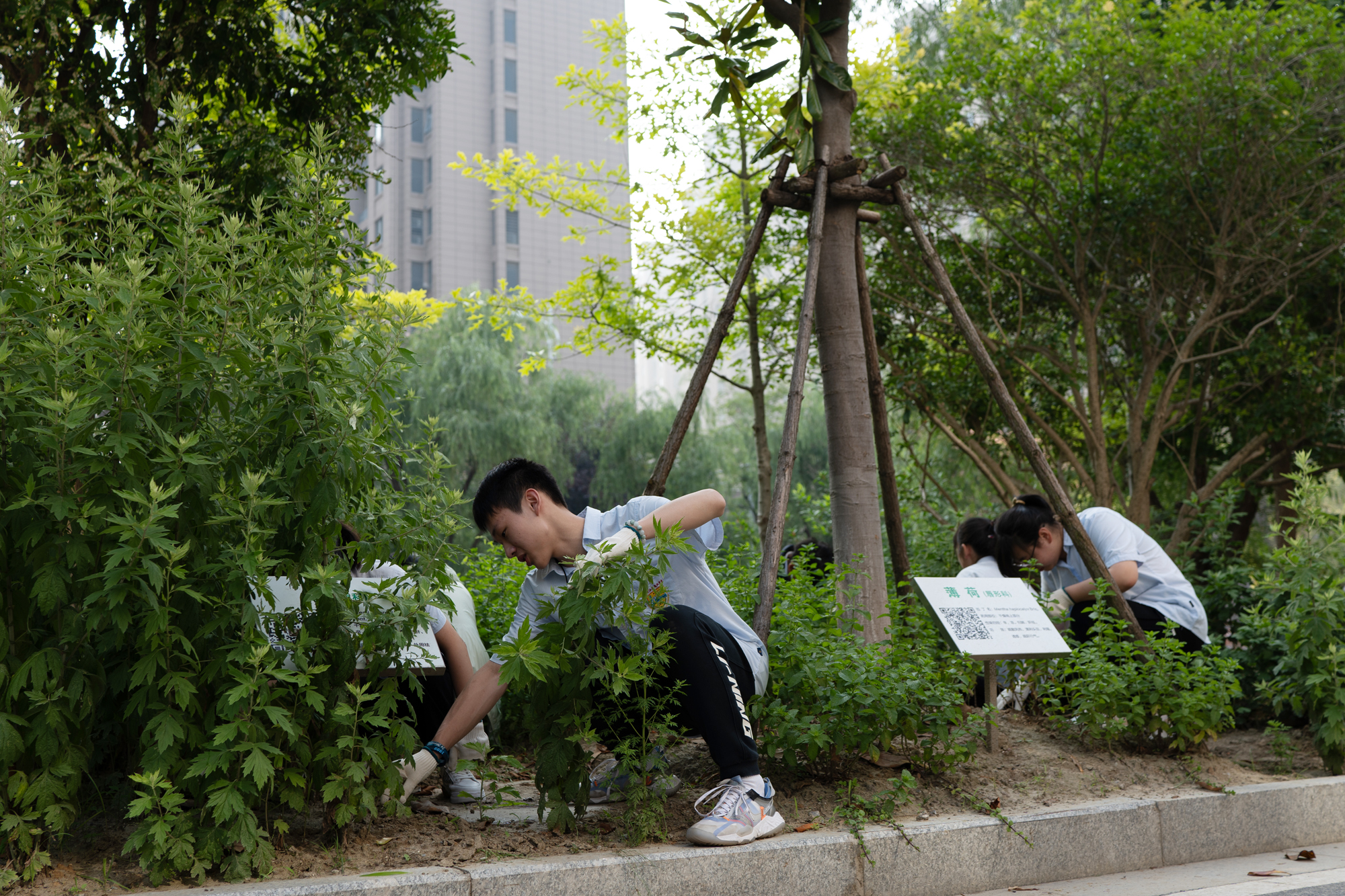 fa80169b7ba44ffb85ff47050c2d274d.jpg fa80169b7ba44ffb85ff47050c2d274d.jpg