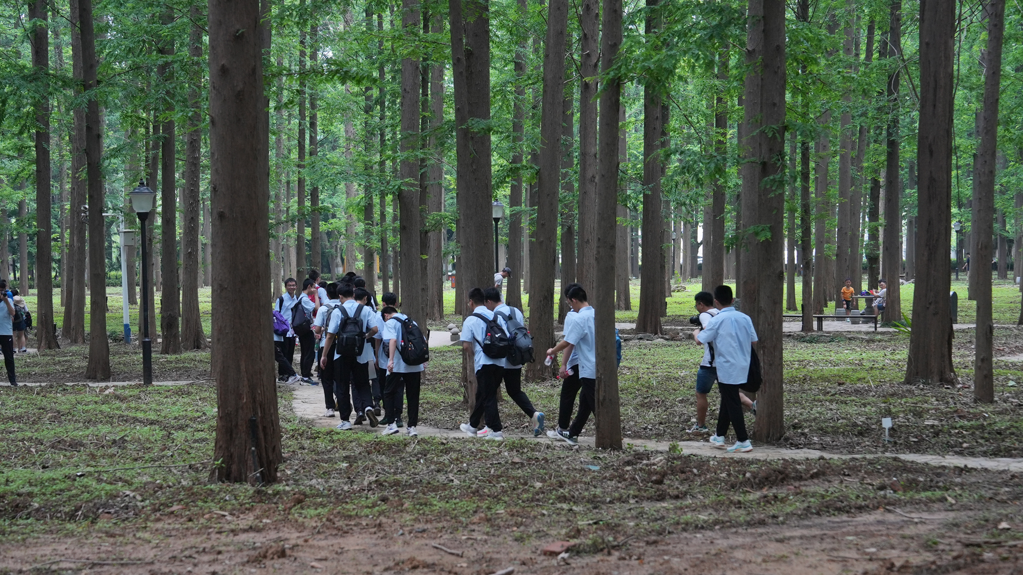 fe2b57aab7354ad9818c2d525eef4710.jpg fe2b57aab7354ad9818c2d525eef4710.jpg