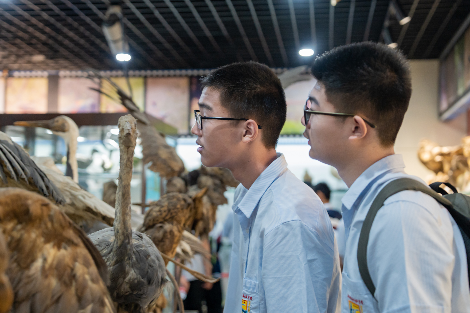 2854c1fdbf324023aff3cb1bcd40cbbd.jpg 2854c1fdbf324023aff3cb1bcd40cbbd.jpg