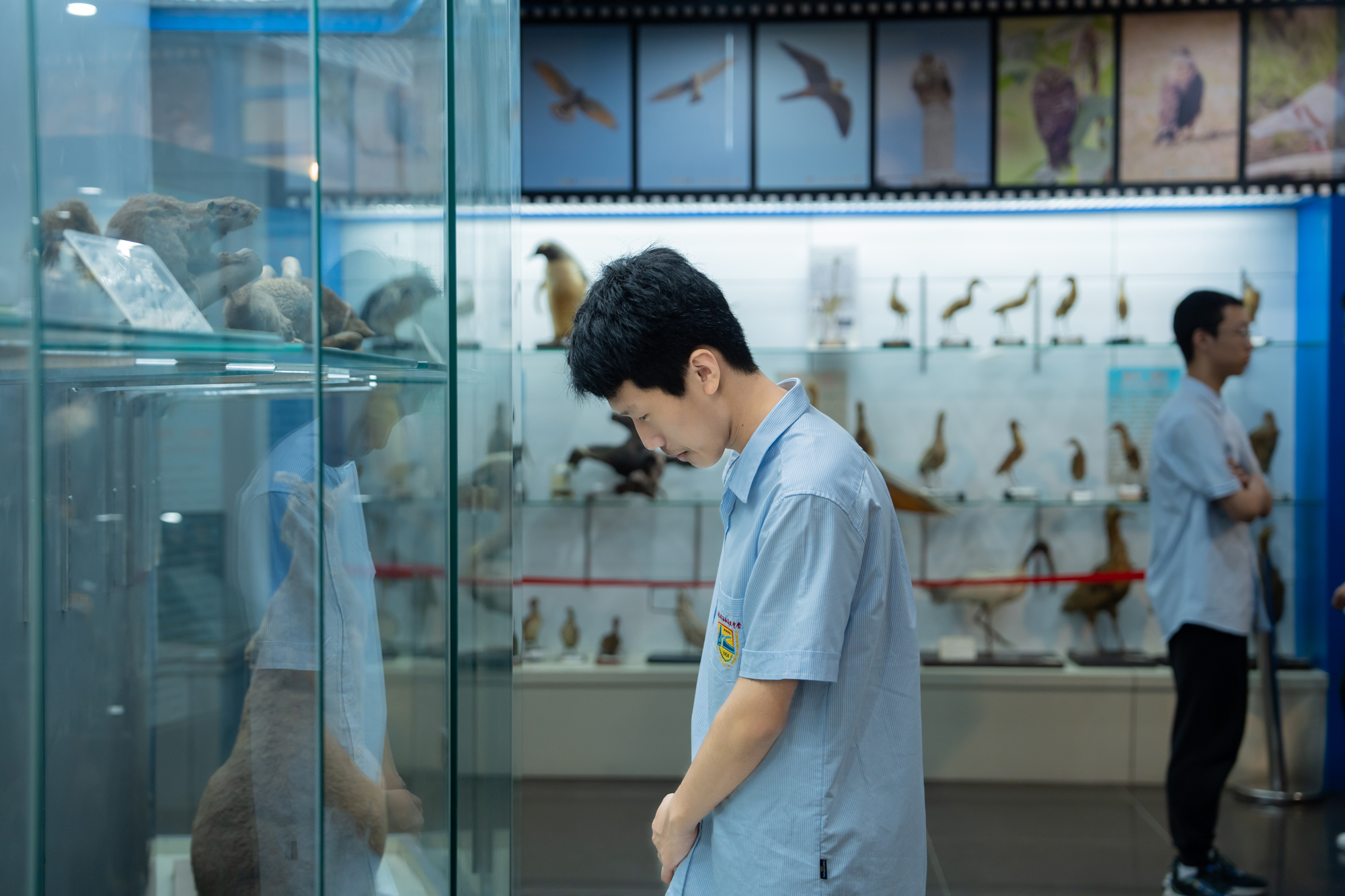 36486b3d000947509790ee57ed6829d7.jpg 36486b3d000947509790ee57ed6829d7.jpg