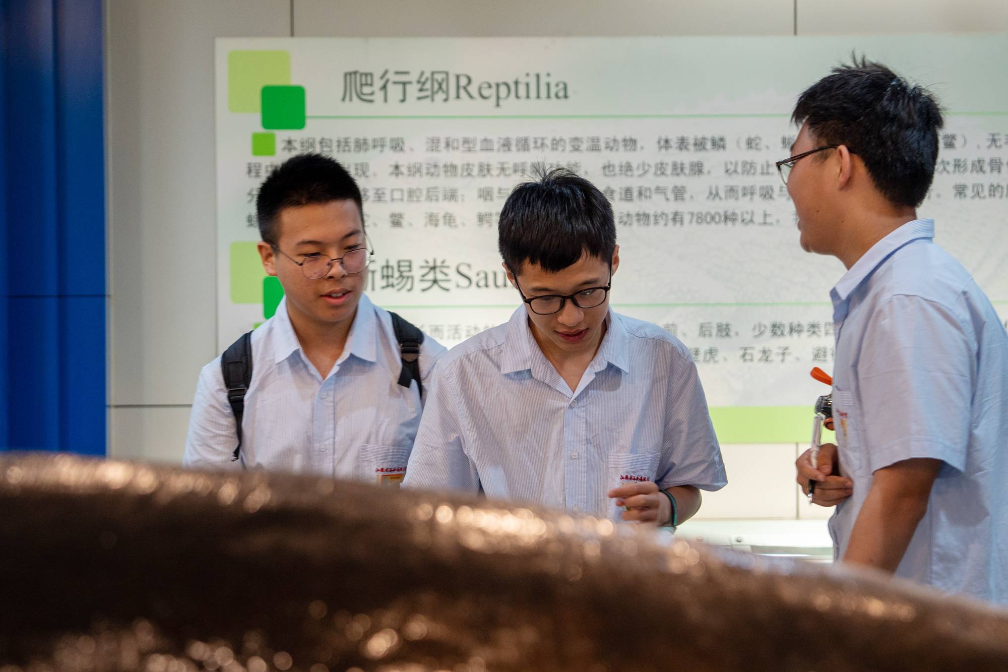 5e6323391f9c4a8e82feec6889f58179.jpg 5e6323391f9c4a8e82feec6889f58179.jpg