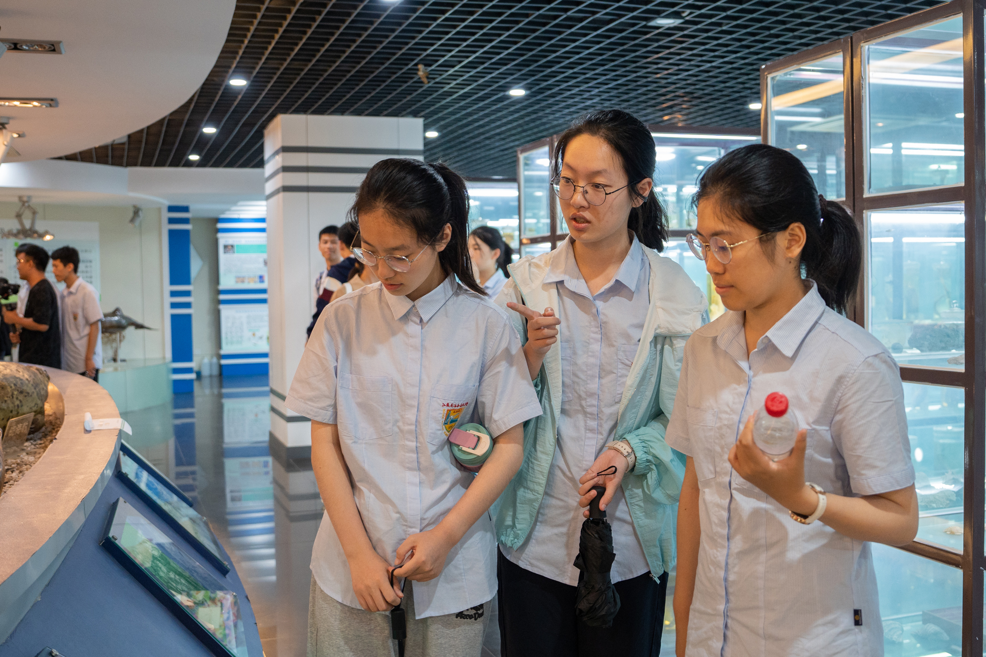 8032e31b416a44cab0e439ea661a8d53.jpg 8032e31b416a44cab0e439ea661a8d53.jpg