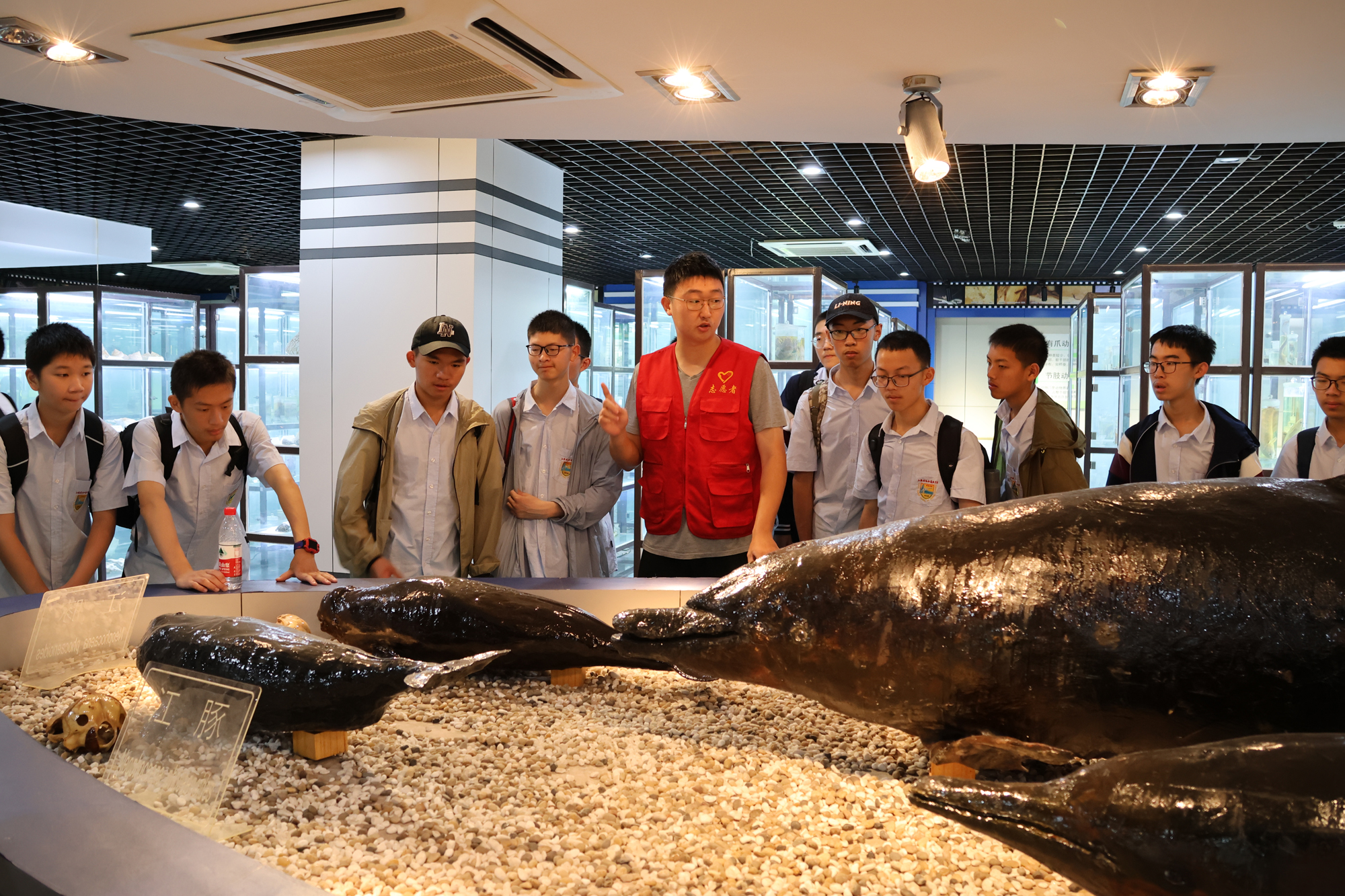 8261348ec9a44443b4f847b9c823a451.jpg 8261348ec9a44443b4f847b9c823a451.jpg