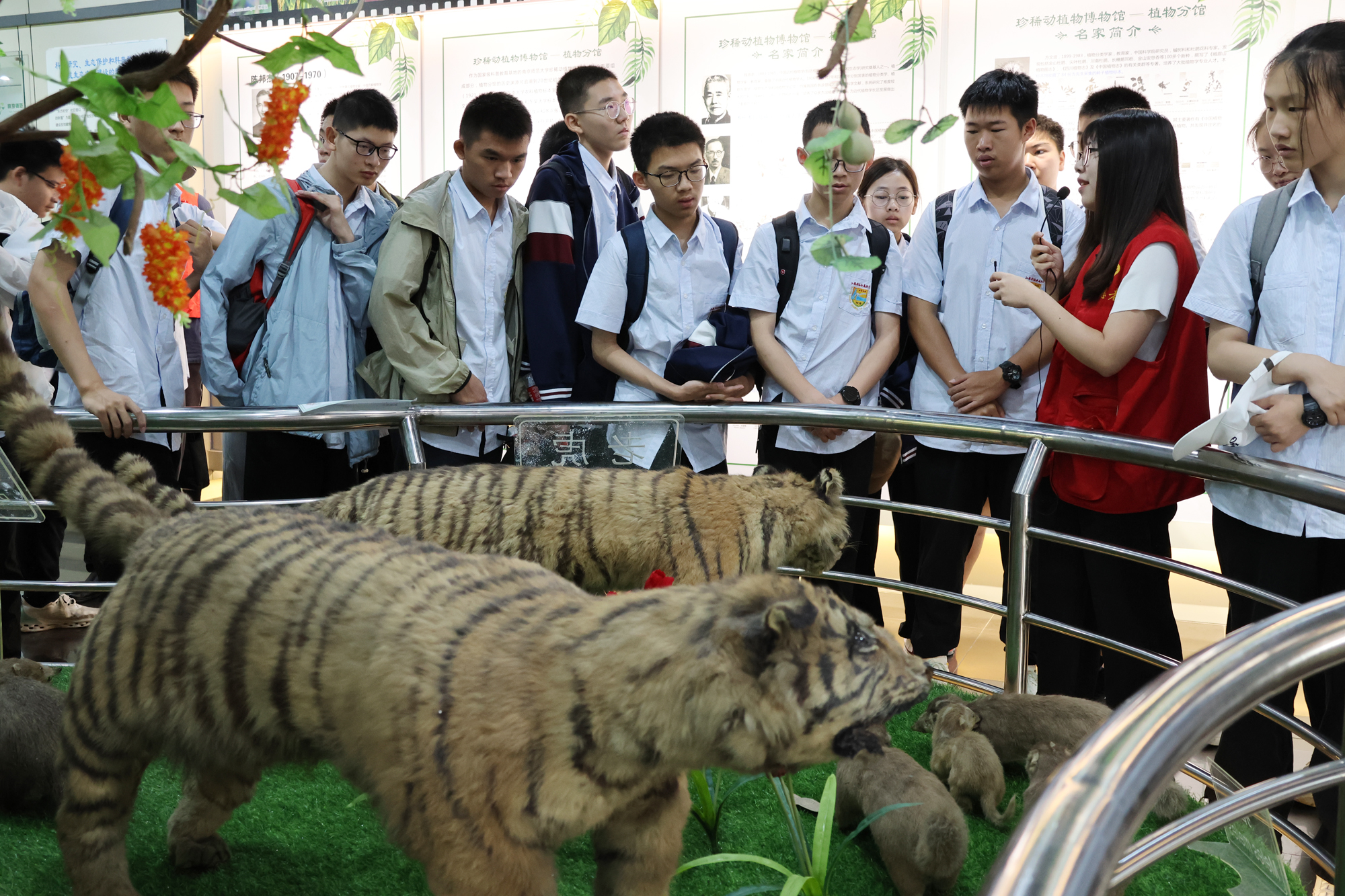 d6bc59135f724f96930a373b95ada4fd.jpg d6bc59135f724f96930a373b95ada4fd.jpg