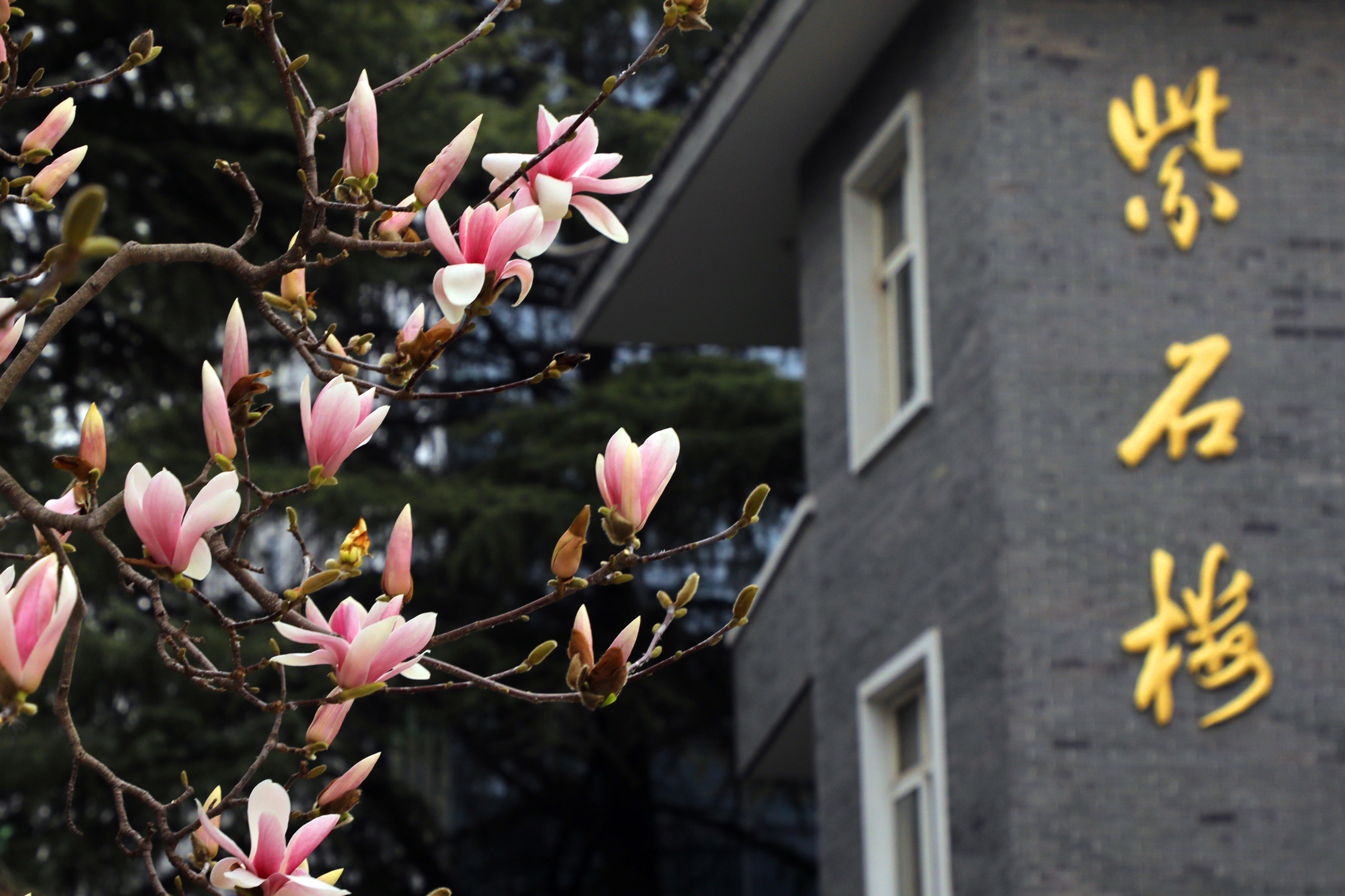 41412f6ddde3448c806eda8e802ef456.jpg 41412f6ddde3448c806eda8e802ef456.jpg