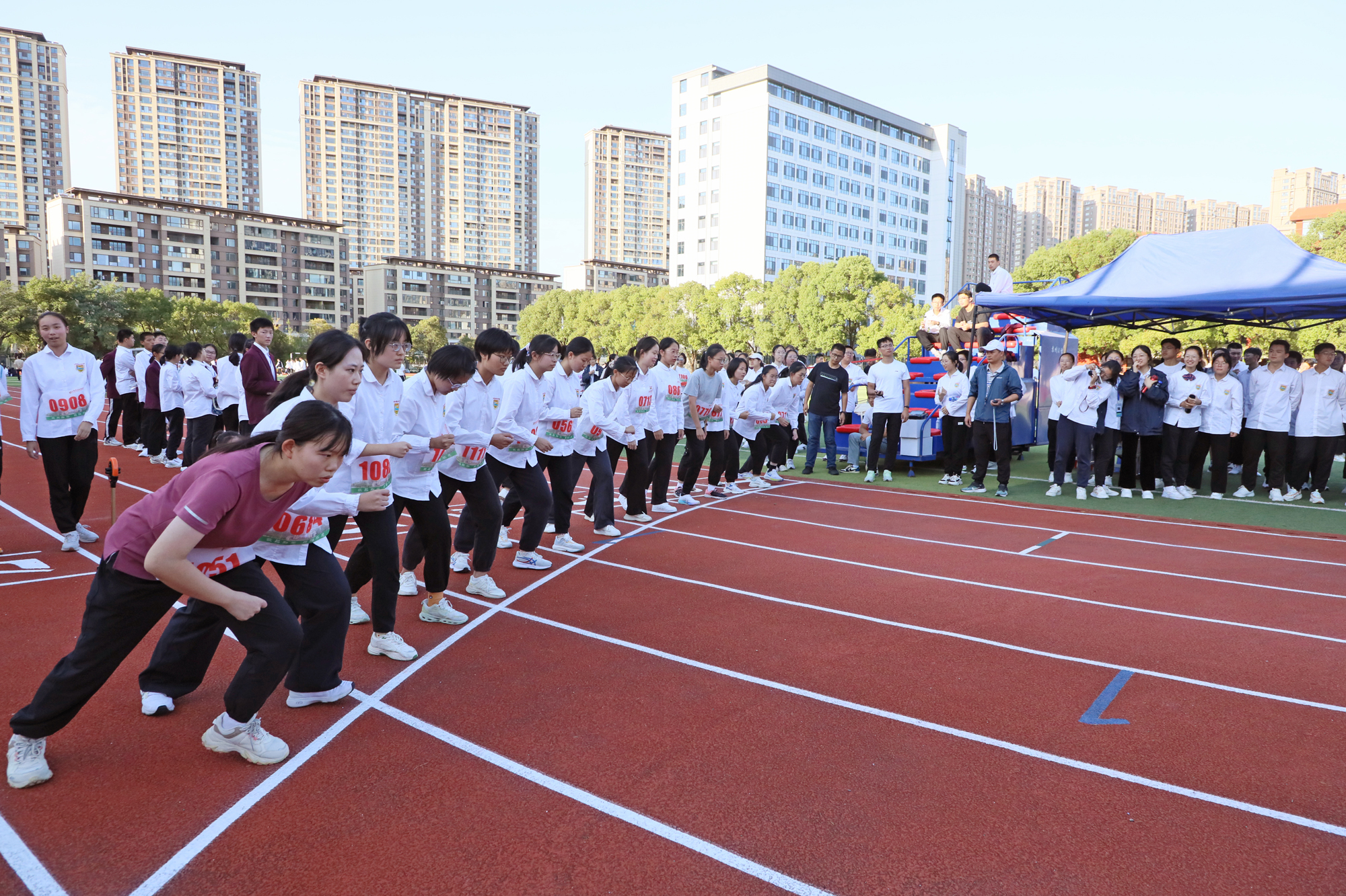 a29fac502795499d8bfd6cfe4ed67491.jpg a29fac502795499d8bfd6cfe4ed67491.jpg