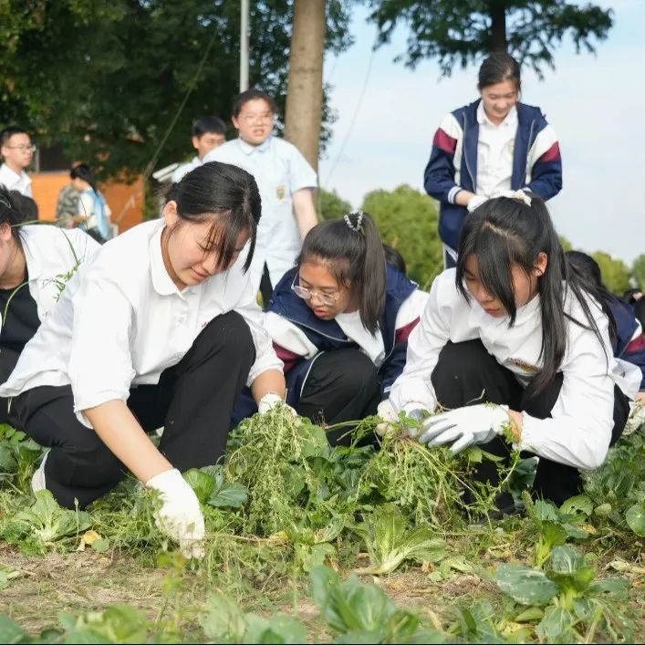 23d2b7bcd05940c3a96bb4dd25bd78dc.jpg 23d2b7bcd05940c3a96bb4dd25bd78dc.jpg