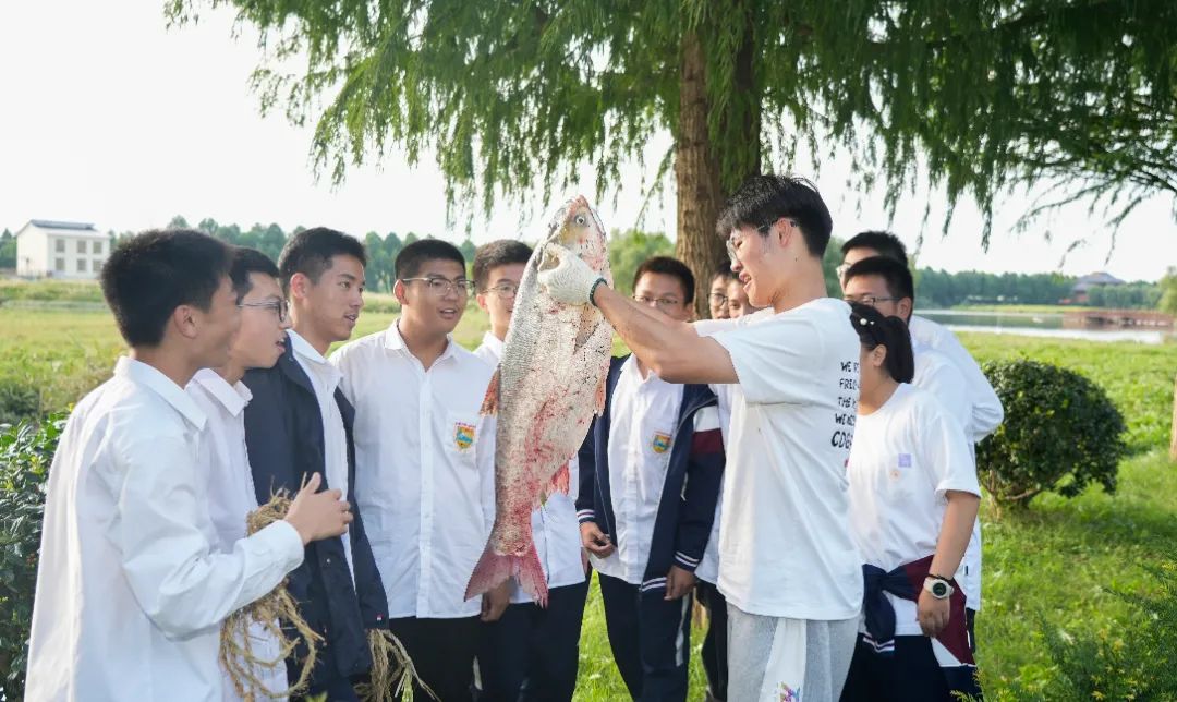 b13270f0bd5545cdad6e38af928cf73b.jpg b13270f0bd5545cdad6e38af928cf73b.jpg