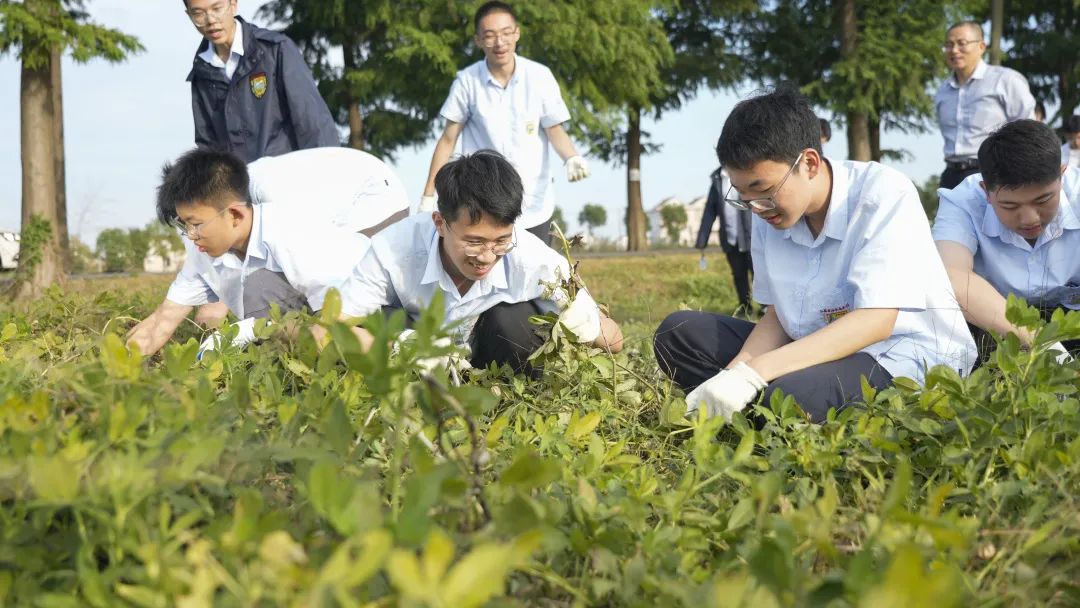 ec469848ca9d4652b6e9b4dcff6672e2.jpg ec469848ca9d4652b6e9b4dcff6672e2.jpg