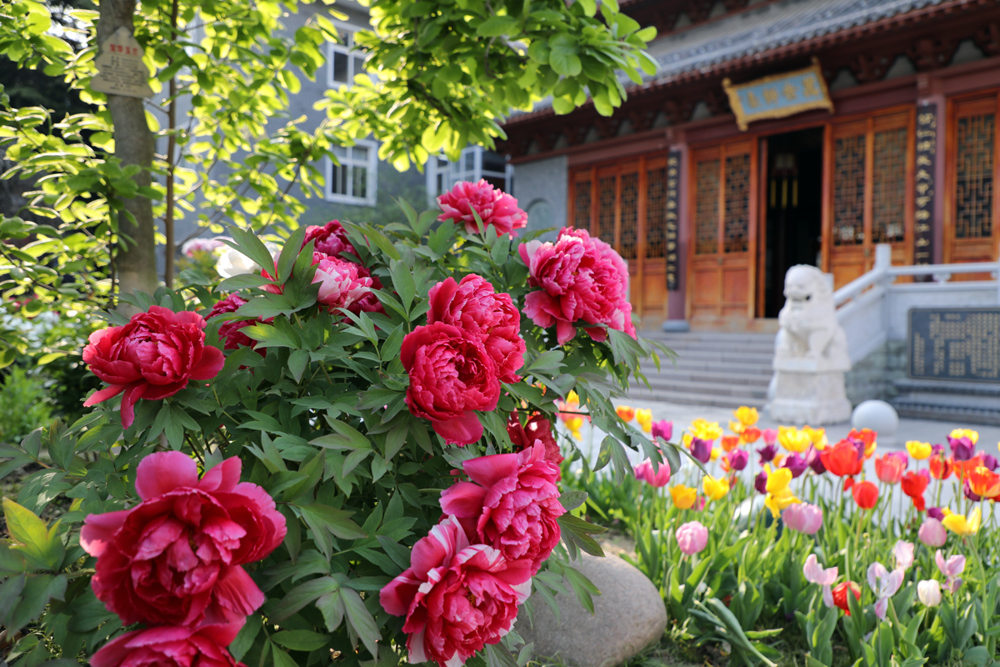 247d274083cd428a96b9d6e5f3be876b.jpg 247d274083cd428a96b9d6e5f3be876b.jpg