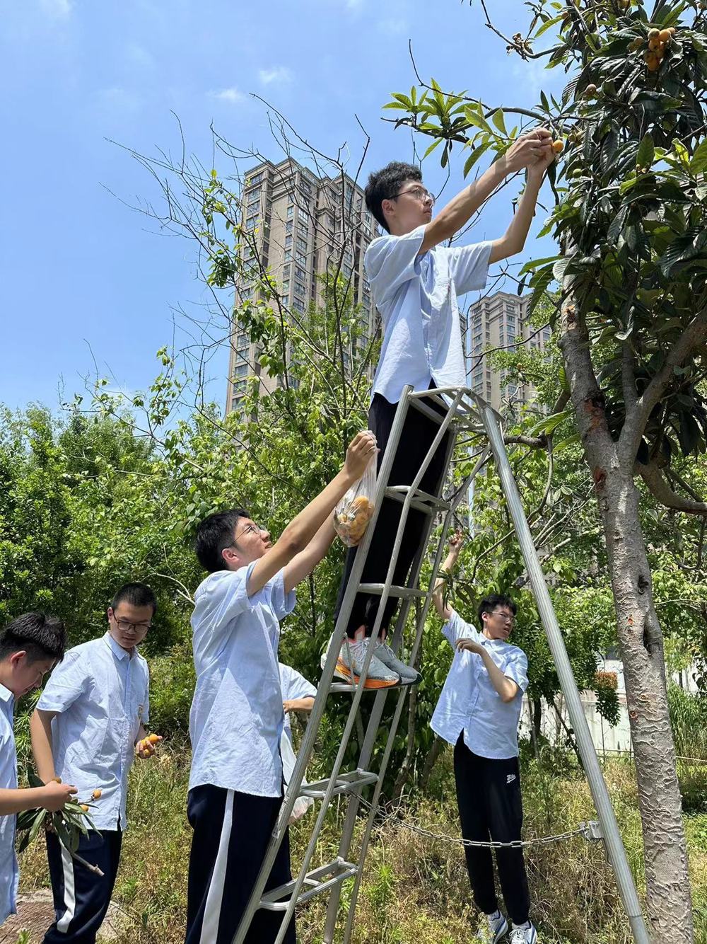 8f818797df9e4a4f86002de50c2988ad.jpg 8f818797df9e4a4f86002de50c2988ad.jpg