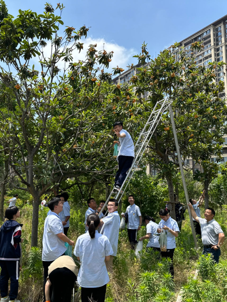 c45f2f5ed07240ac96e39cc68a64ab47.jpg c45f2f5ed07240ac96e39cc68a64ab47.jpg