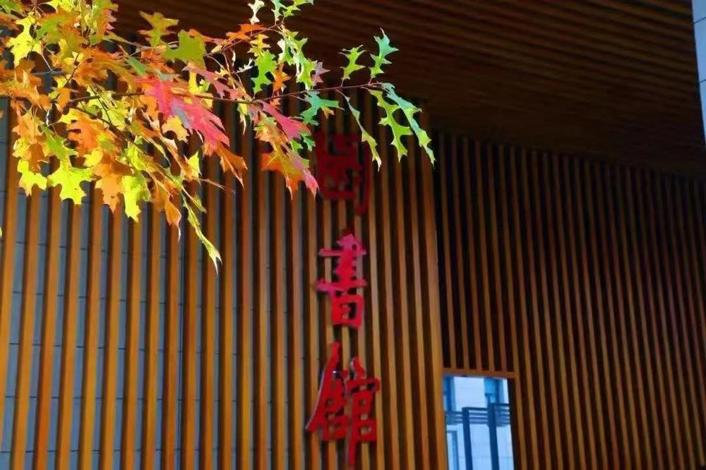 e903e095d8c5450eb24f3f8406a67545.jpg e903e095d8c5450eb24f3f8406a67545.jpg