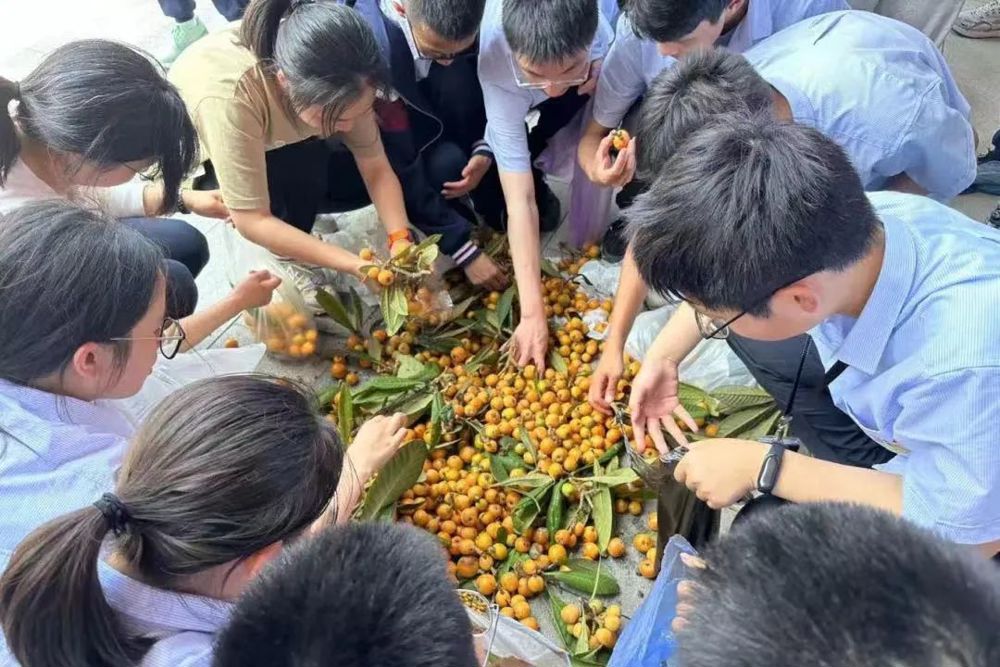 087488561eee4a9d83a2f3bb46e55688.jpg 087488561eee4a9d83a2f3bb46e55688.jpg