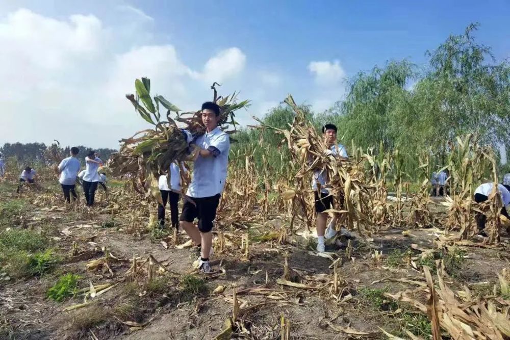 15ed2853df864c989d72580247bf0b77.jpg 15ed2853df864c989d72580247bf0b77.jpg