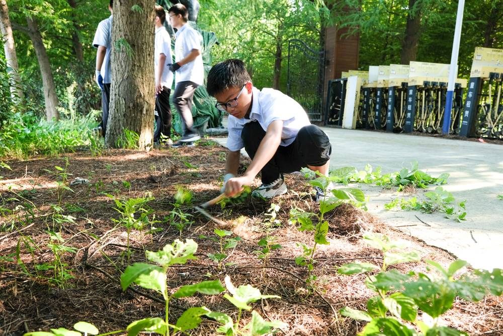 17bf326be51c4168b1fdd54c02682129.jpg 17bf326be51c4168b1fdd54c02682129.jpg