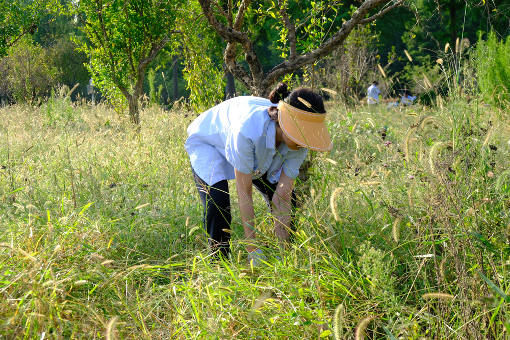 19bc2fbb2c3c453c9f95e20bf4e0baae.jpg 19bc2fbb2c3c453c9f95e20bf4e0baae.jpg