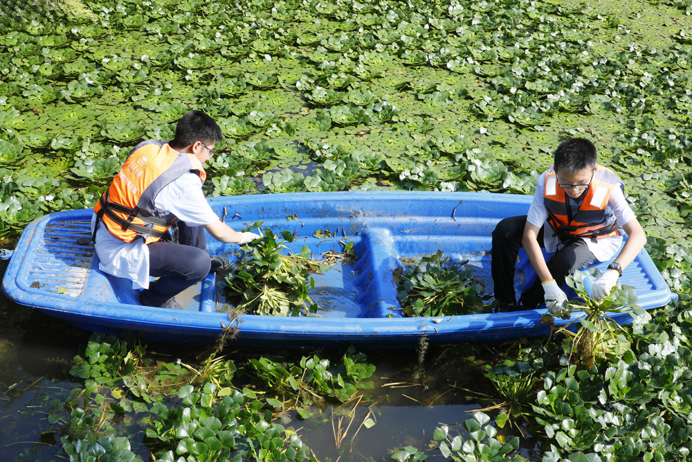 2b2a9dc723474b8788c7ec855588fbf8.jpg 2b2a9dc723474b8788c7ec855588fbf8.jpg