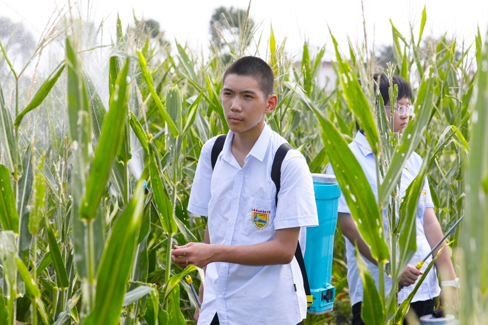 3e730c4384e646a285410ccc47f736ea.jpg 3e730c4384e646a285410ccc47f736ea.jpg