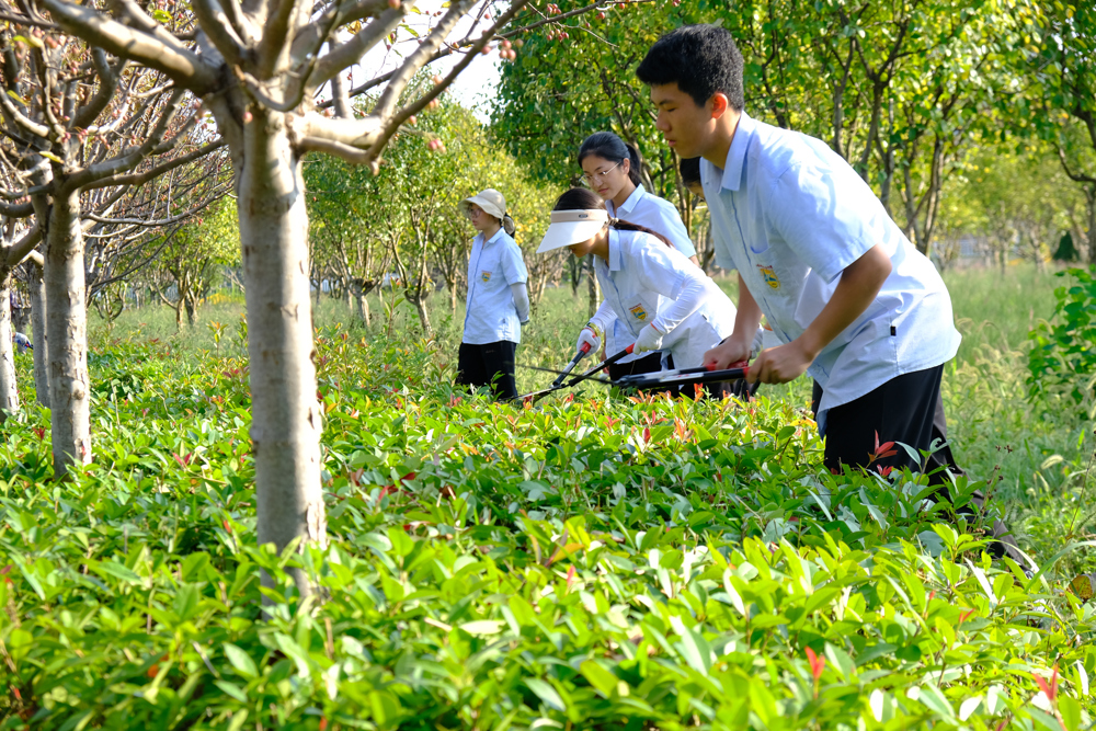 a08df53efcf54d5090ec46733a824919.jpg a08df53efcf54d5090ec46733a824919.jpg