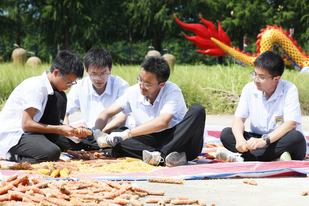 b0c6daf41d0f49e1ab8b01e3b1ead870.jpg b0c6daf41d0f49e1ab8b01e3b1ead870.jpg