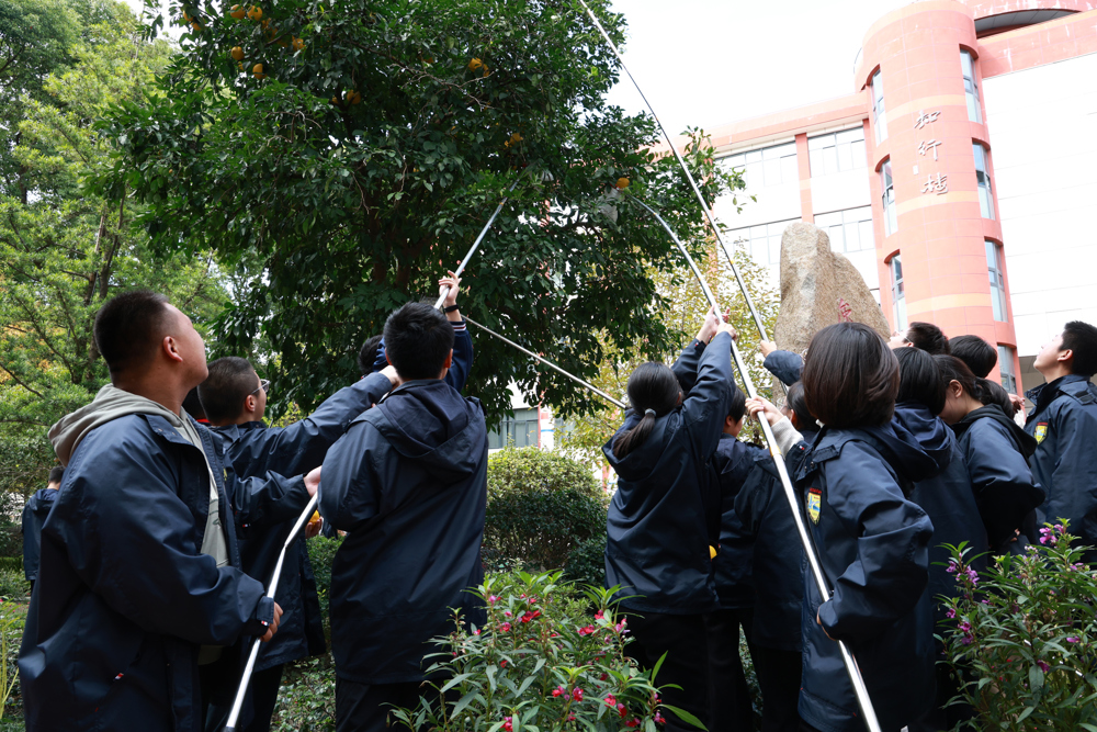 804153fa92cf486890562c8cd49dc115.jpg 804153fa92cf486890562c8cd49dc115.jpg