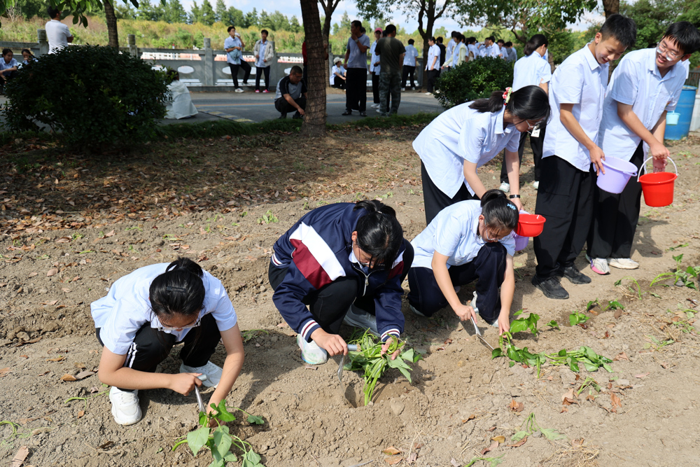 04398e6dcc58477e8552bf21d8504026.jpg 04398e6dcc58477e8552bf21d8504026.jpg