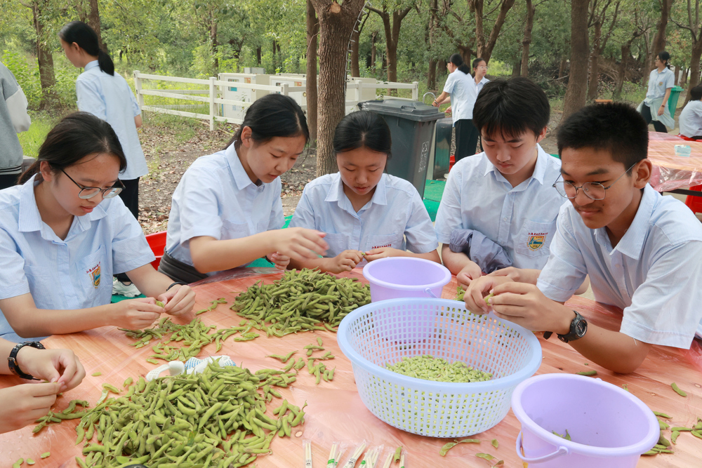 4823990f39ea48858be601227d69cc40.jpg 4823990f39ea48858be601227d69cc40.jpg