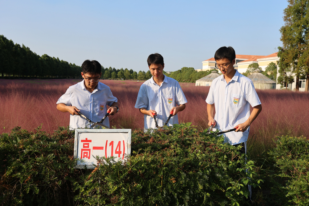 5a24d808704a4d6dbac62d8389be01ae.jpg 5a24d808704a4d6dbac62d8389be01ae.jpg