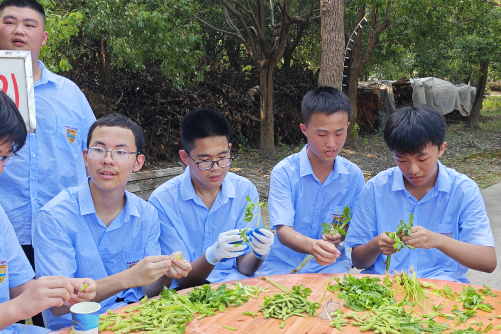 ab71486521d04294b5d48f863a781ddb.jpg ab71486521d04294b5d48f863a781ddb.jpg