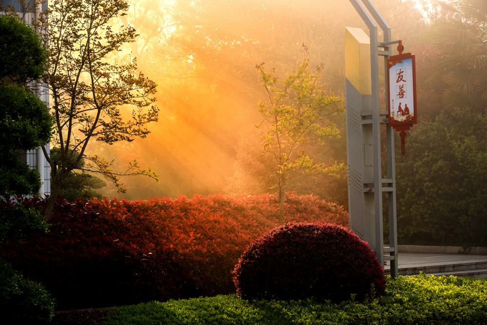 98fe59dd16aa49a299b19798b82f46fd.jpg 98fe59dd16aa49a299b19798b82f46fd.jpg