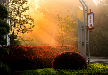 【观海听涛】跟岗挂职老师的研修札记（六）