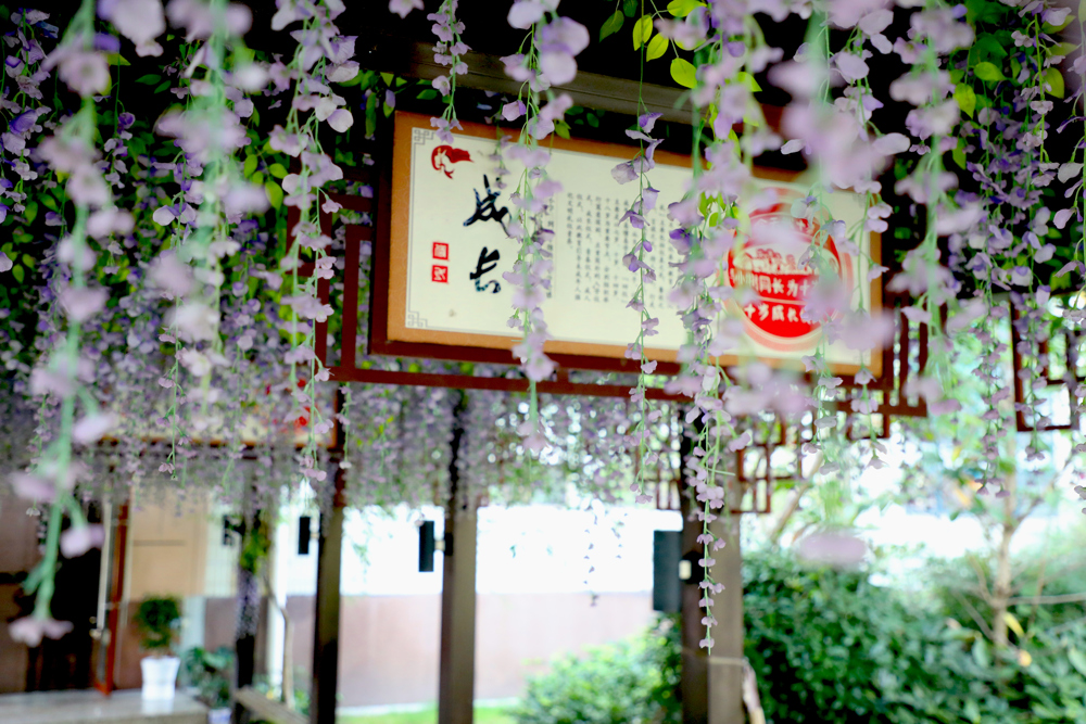 学生版《西迁》大咖谈（四）